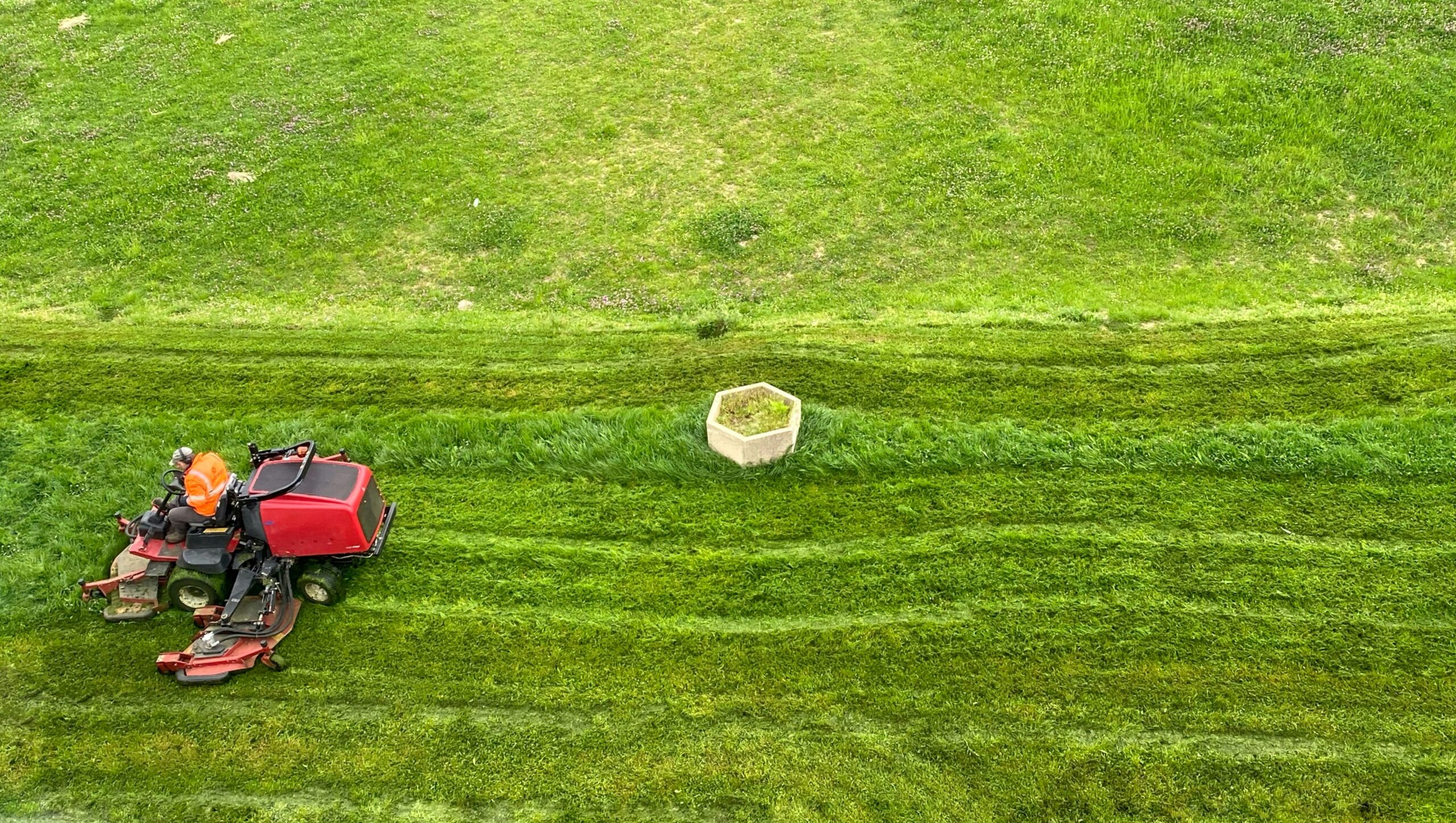 Commercial Landscaping Services